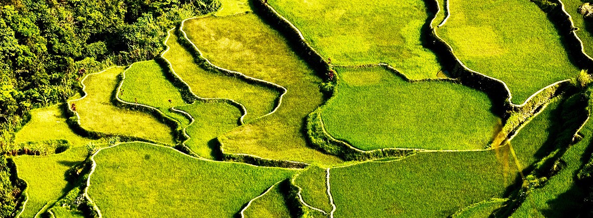 landscapes-affected-by-climate-change-featimg