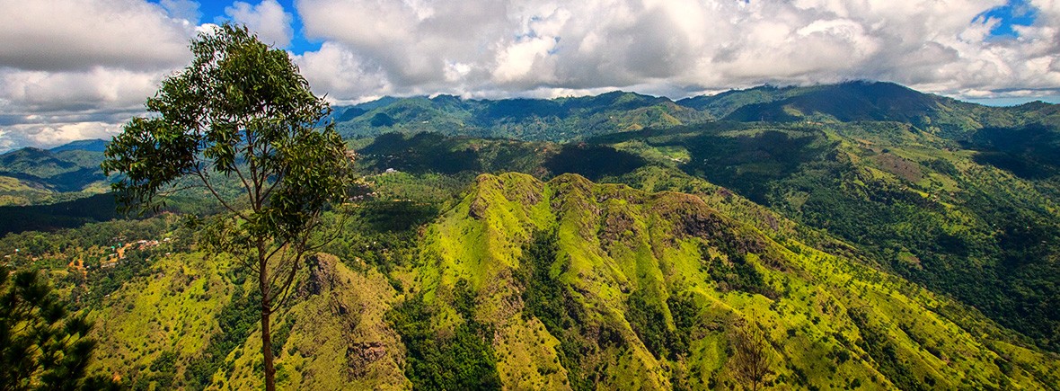 how to hike to ella rock