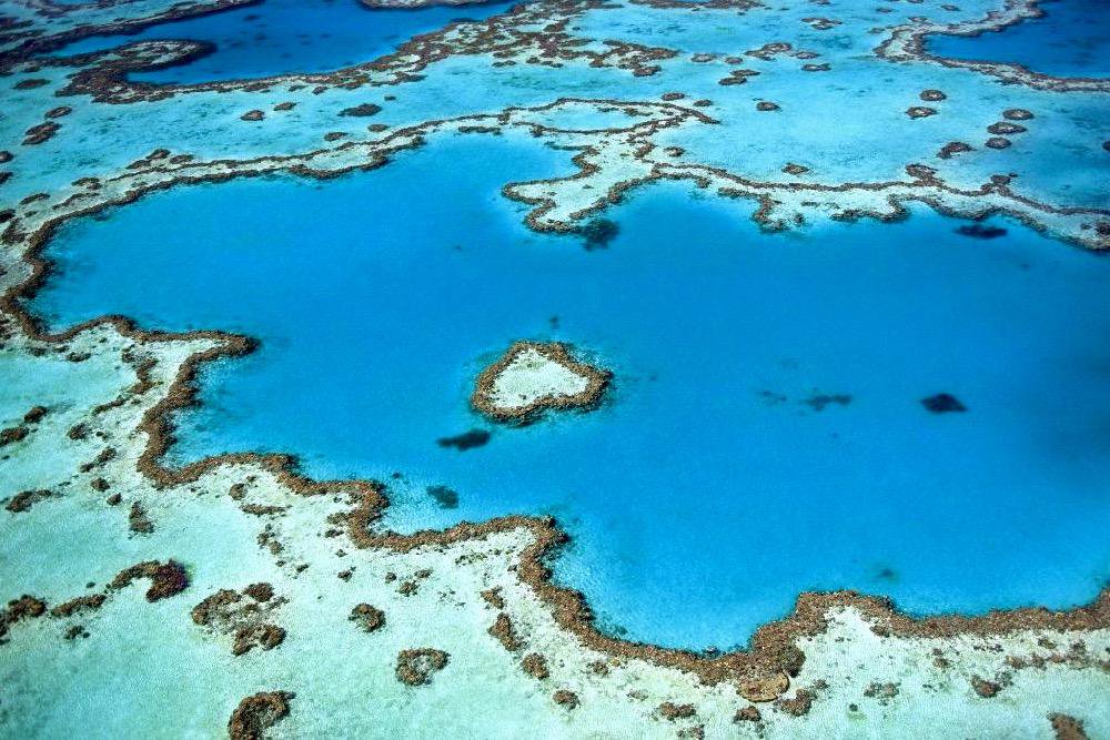 A5: We'd love to visit the Great Barrier Reef – no. 2 on #lptop500. We love diving and being in the ocean. #LPChat http://t.co/ztVOqD4WQ0