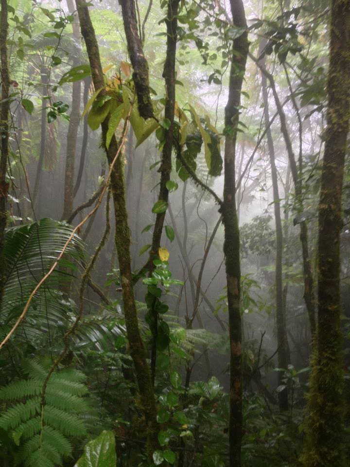 escalando el Pico Nevis