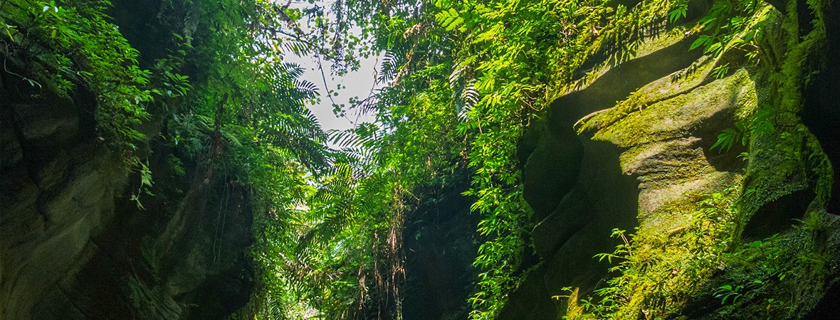 Millennium Cave in Vanuatu feat