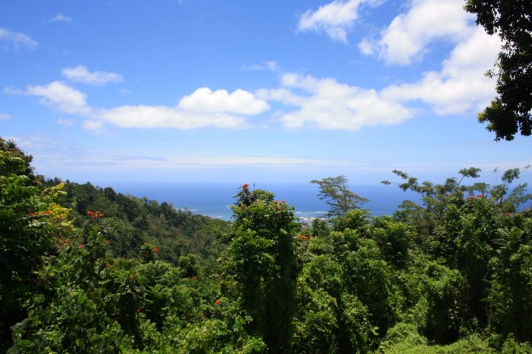 Robert Louis Stevenson museum: an unexpected highlight of Samoa | Atlas ...