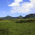 rarotonga cross island walk