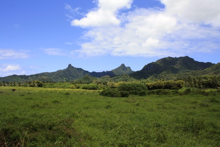 rarotonga cross island walk