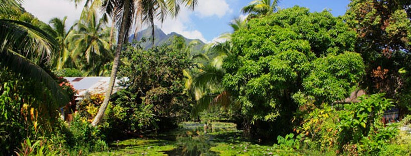 christmas-in-tahiti