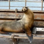 things to do on san cristobal galapagos