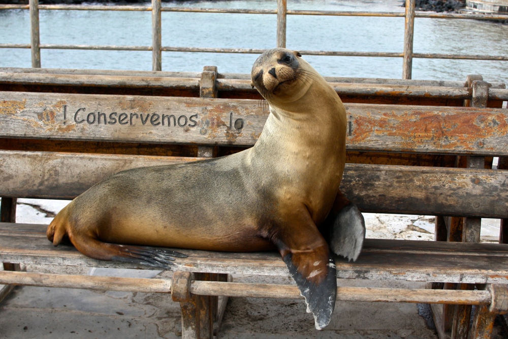 things to do on san cristobal galapagos