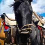 Horse riding in Cotopaxi, Ecuador