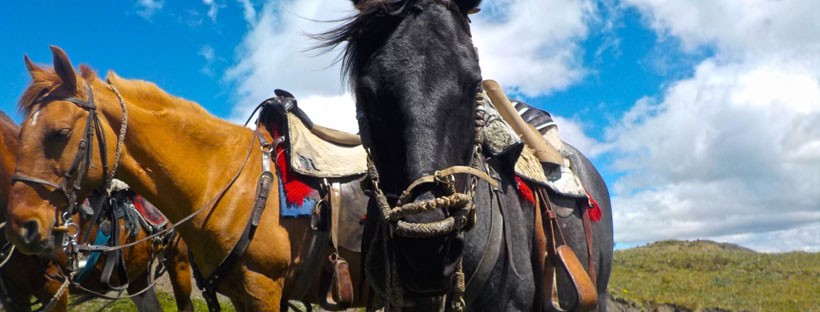 Horse riding in Cotopaxi, Ecuador