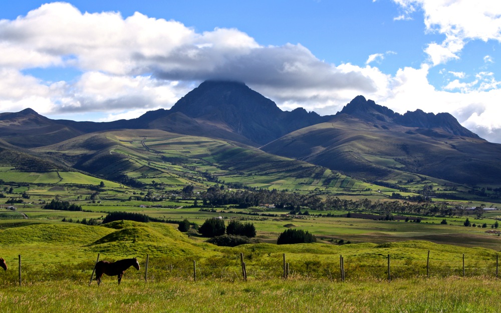 Cotopaxi volcano surrounded by green fields