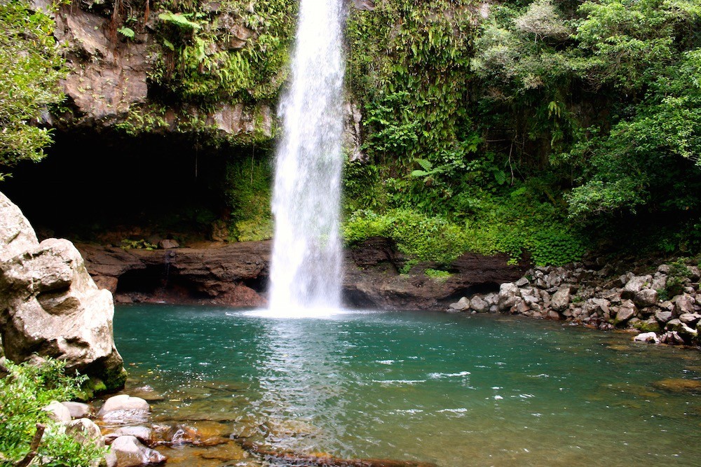 best-national-parks-in-the -world-taveuni-bouma