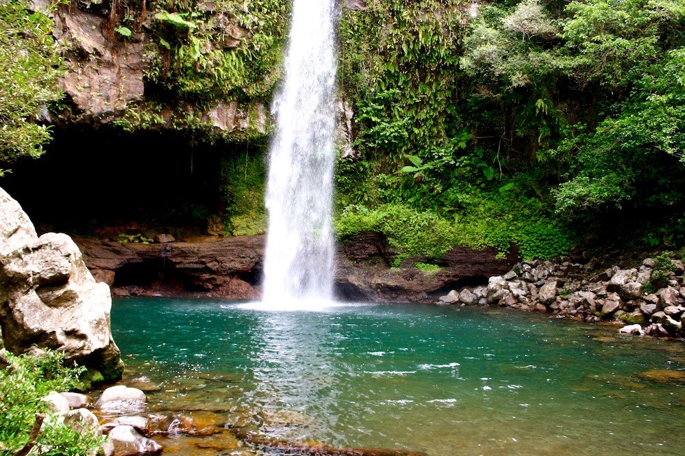 taveuni and vanua levu fiji - 1