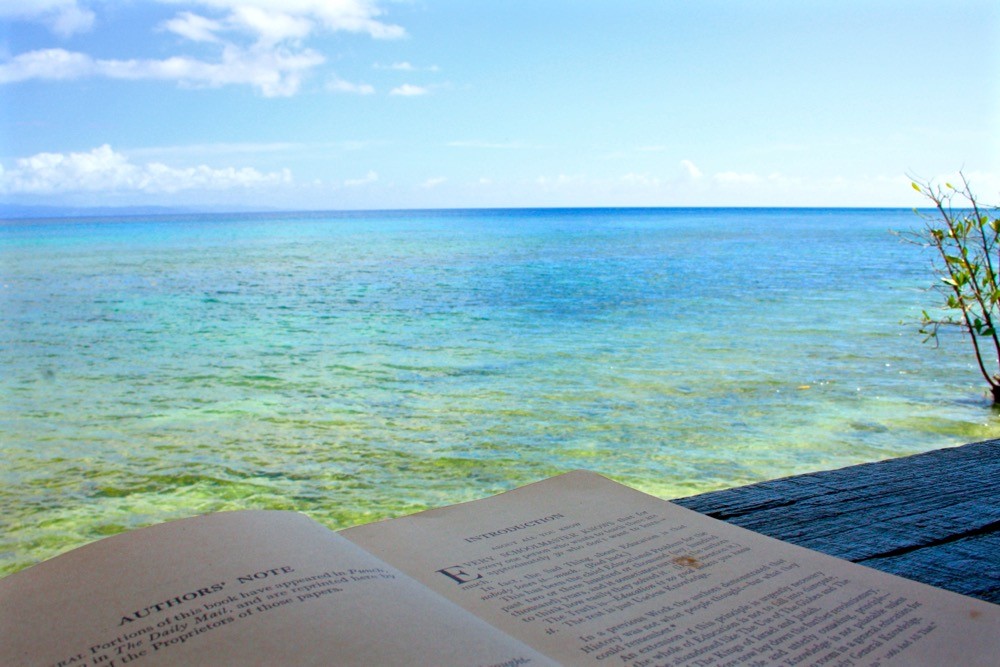 taveuni and vanua levu fiji - 1