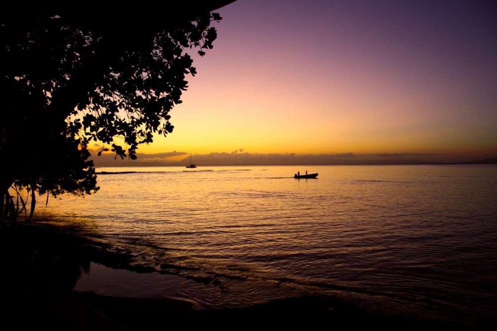 taveuni and vanua levu fiji