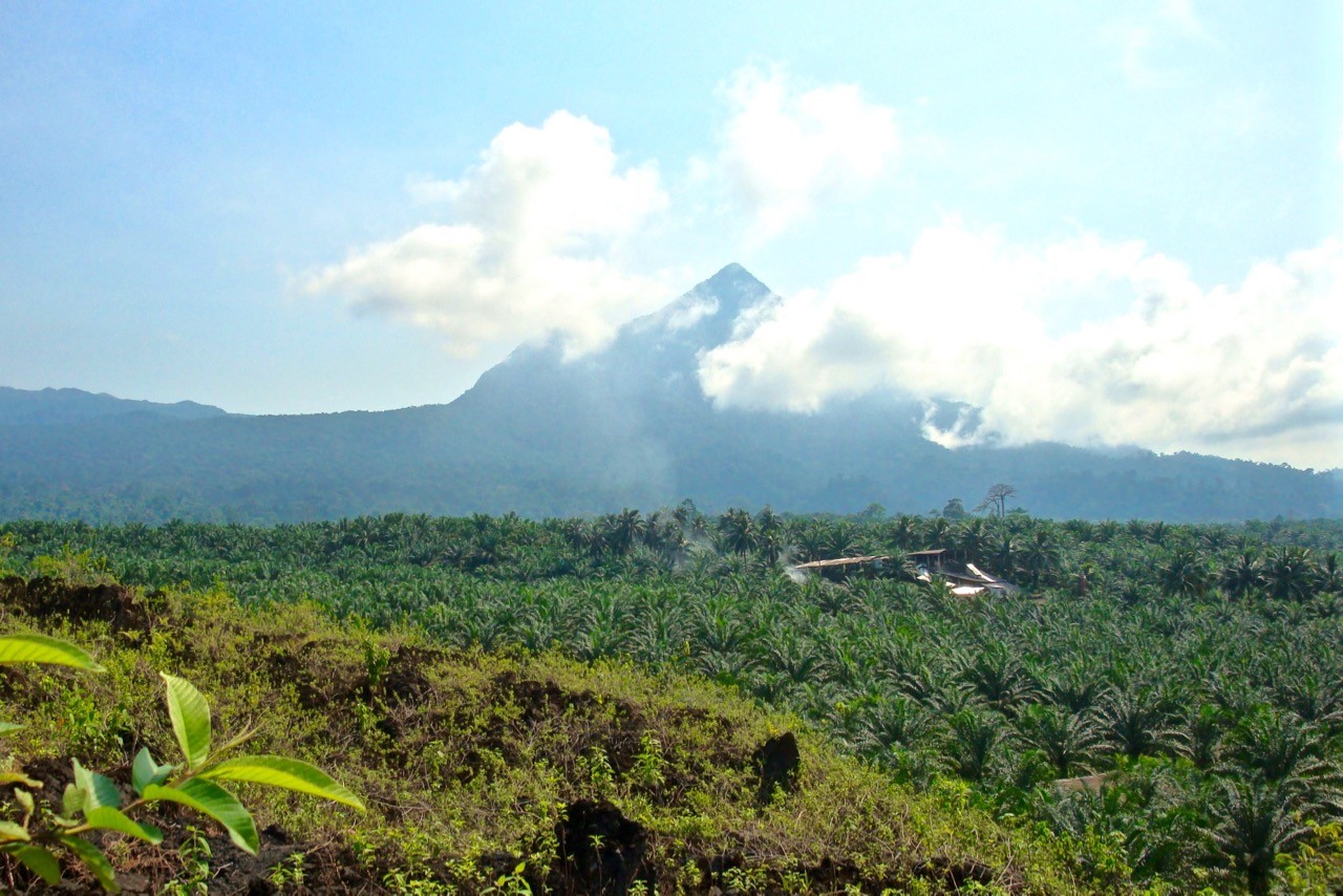 unknown-treks-cameroon