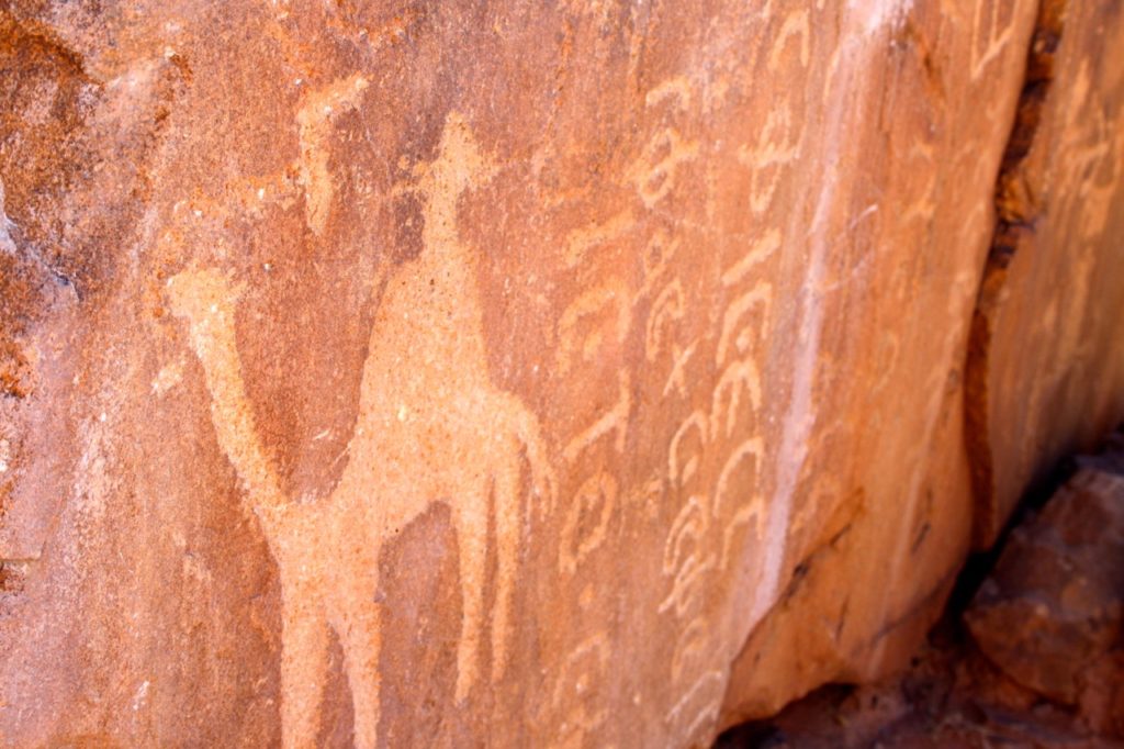 A night in the Jordanian desert wadi rum photography