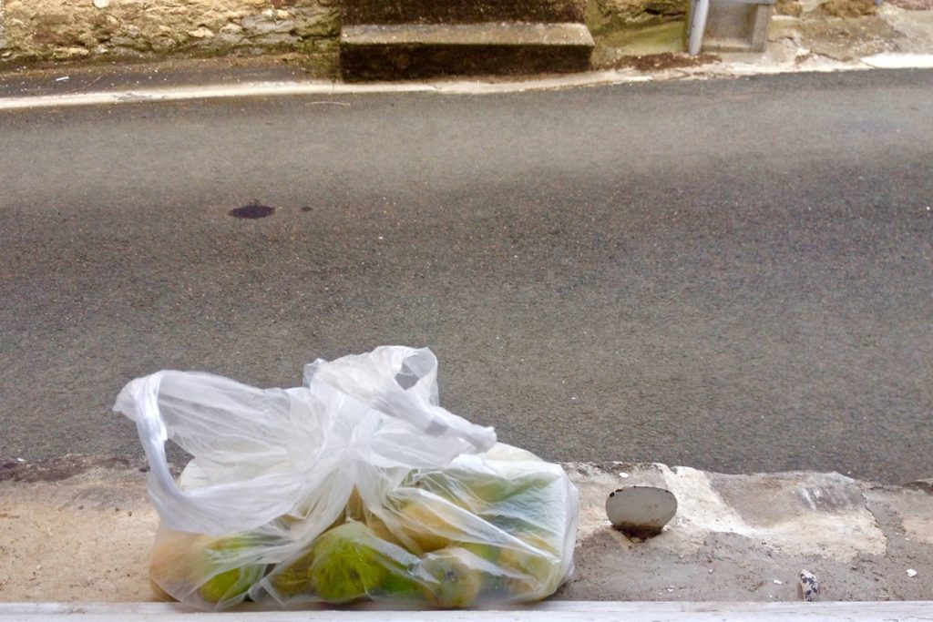 Local fruit in our French village