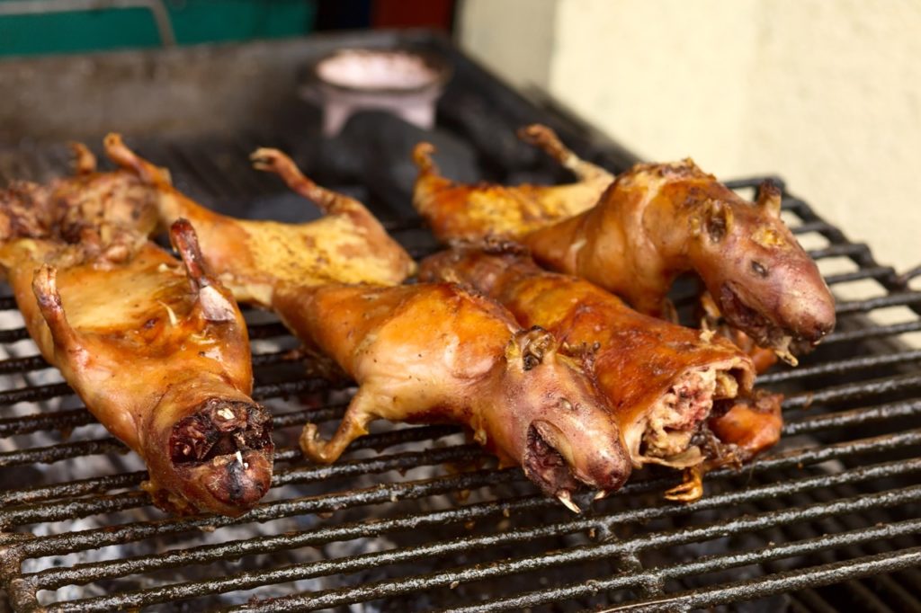 Guinea pigs on a BBQ in Ecuador