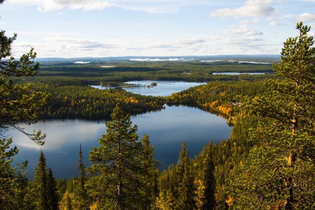 El sendero del anillo del oso en Finlandia tiene uno de los aires más limpios del mundo - Finlandia