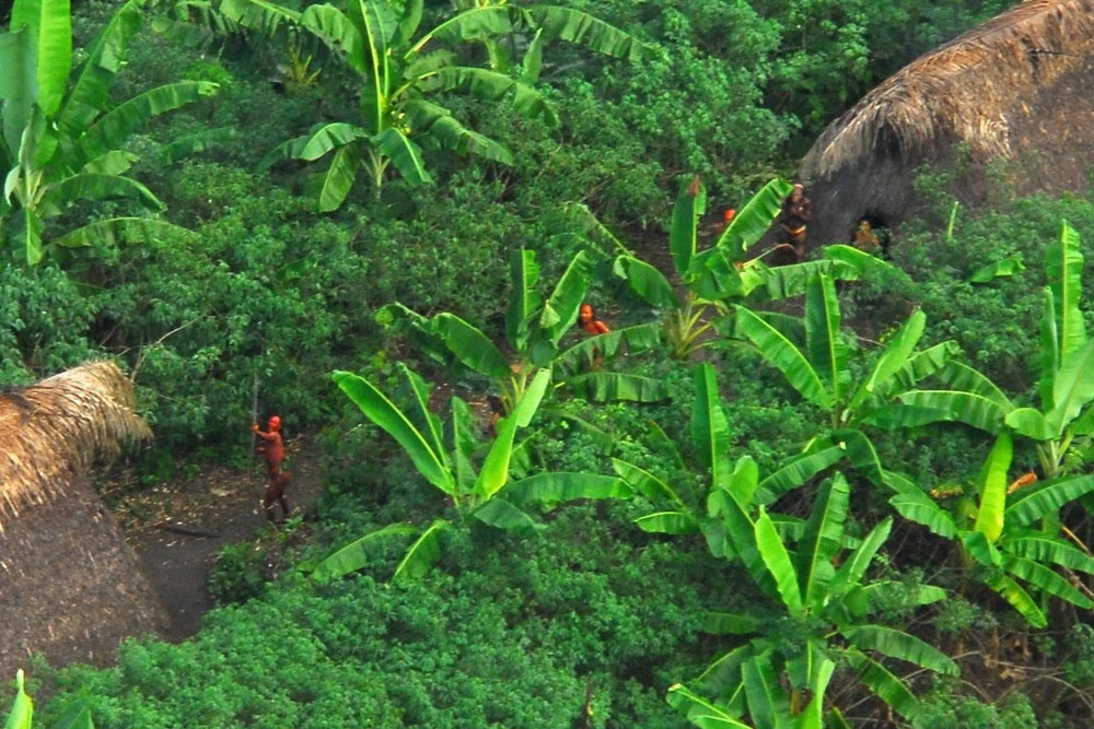 interesting facts about brazil - tribes