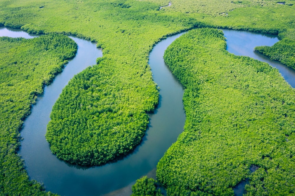 Aerial view of the Amazon River