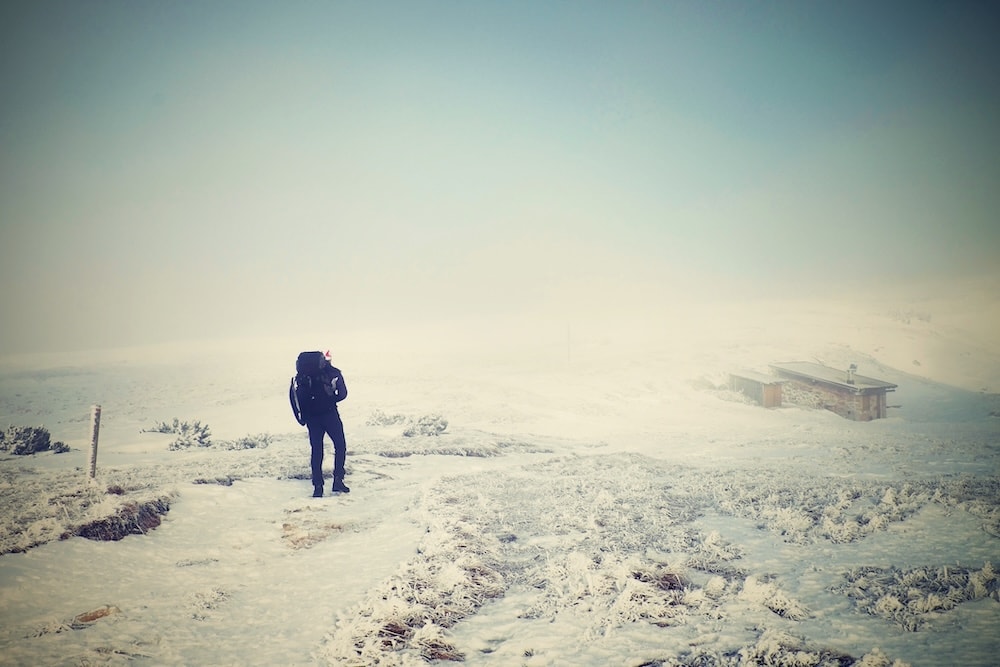 a loan hiker on an obsessive search