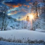 a wintry scene for outdoor survival books