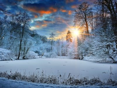 a wintry scene for outdoor survival books