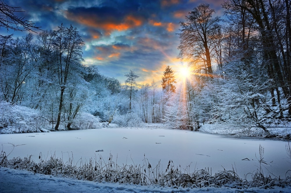 a wintry scene for outdoor survival books