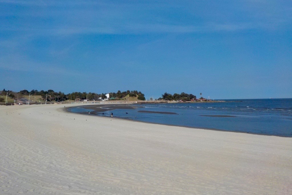 things to do in montevideo uruguay pocitos beach