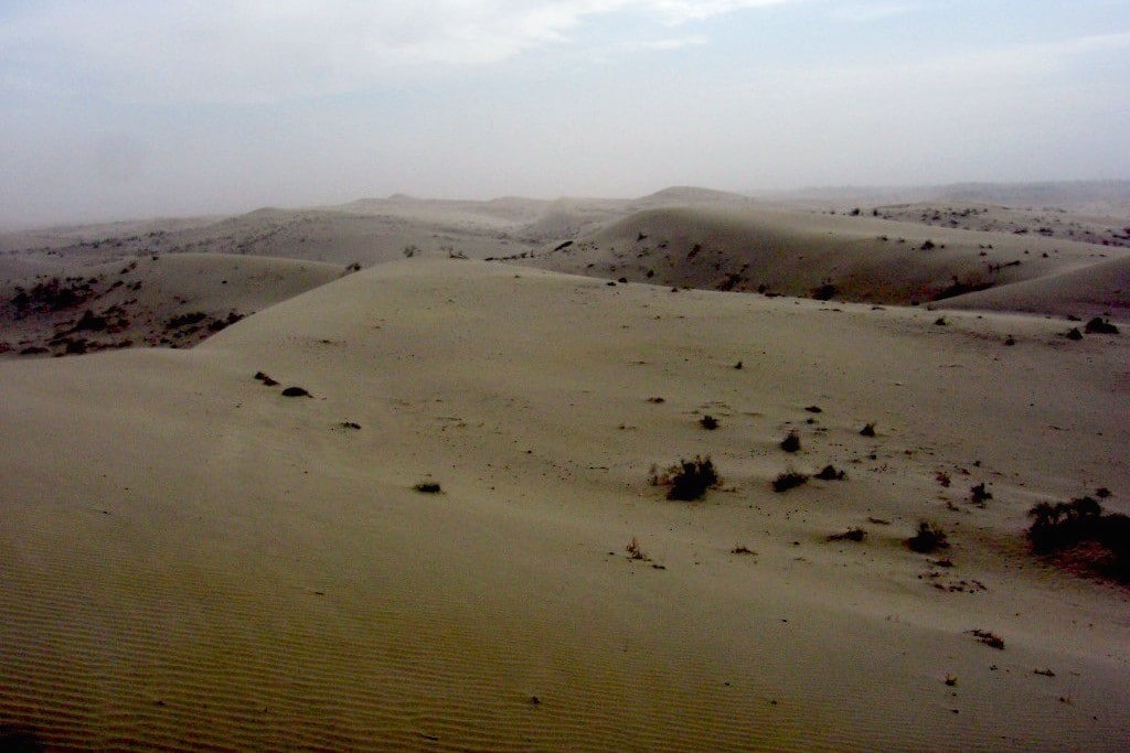 The Eurasian pole