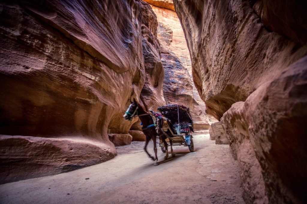 A horse-drawn carriage in the Siq