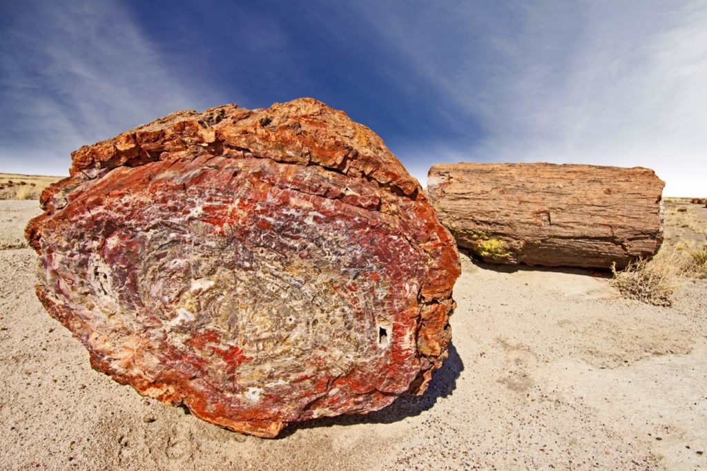 us-national-parks-petrified forest