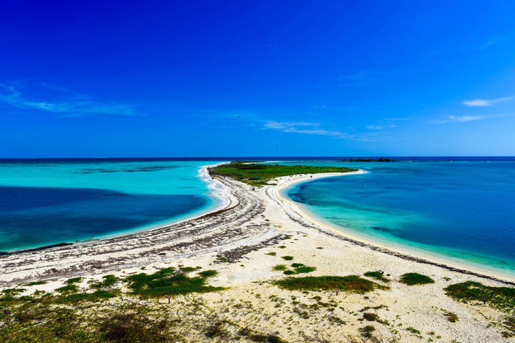 us-national-parks-tortugas-brush key