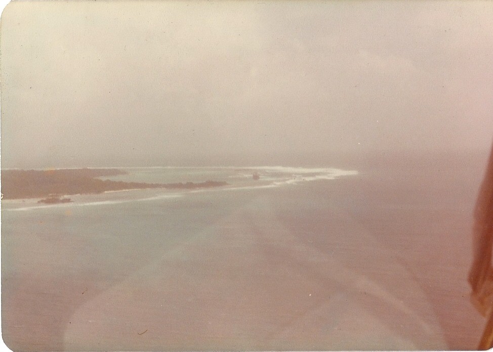 Primrose from North Sentinel Island