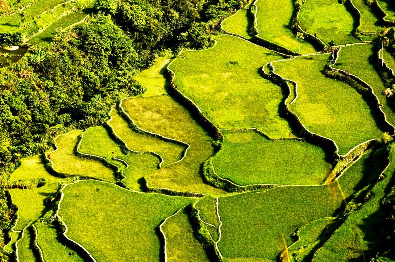 landscapes-affected-by-climate-change-philippines