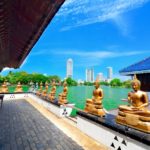 Calm amid the chaos in Colombo Sri Lanka meditation