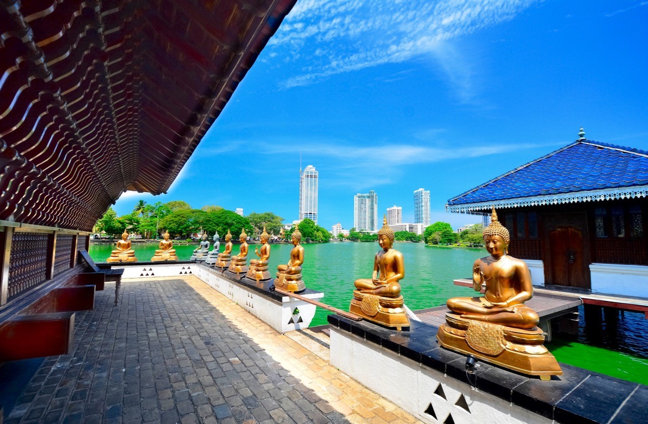 Calm amid the chaos in Colombo Sri Lanka meditation