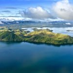 Largest rainforests in the world new guinea