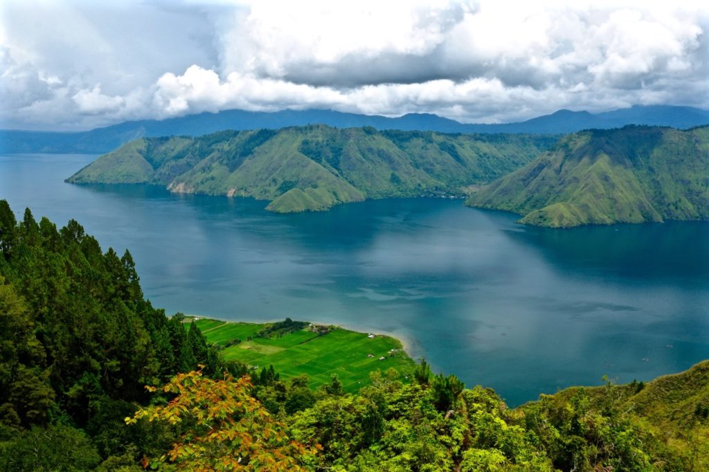 Largest rainforests in the world sumatra