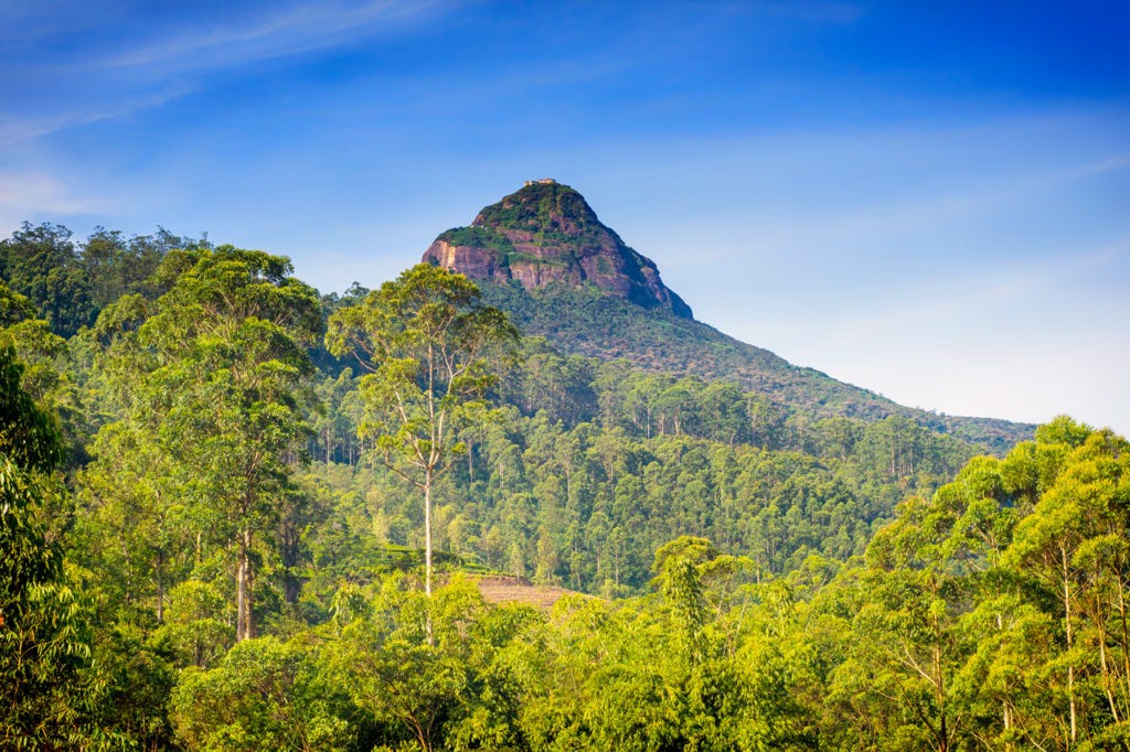 interesting-facts-about-sri-lanka-adams-peak