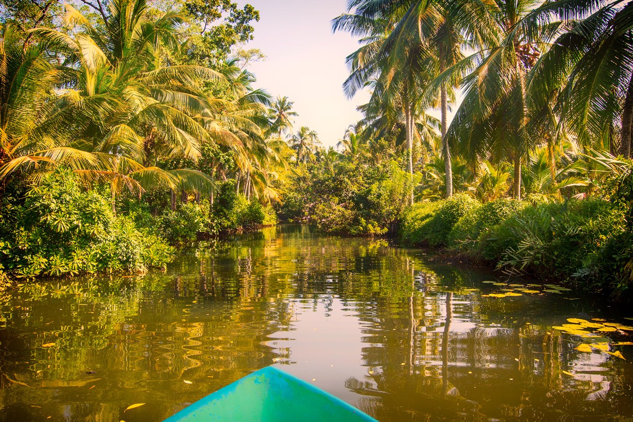 river safari bentota