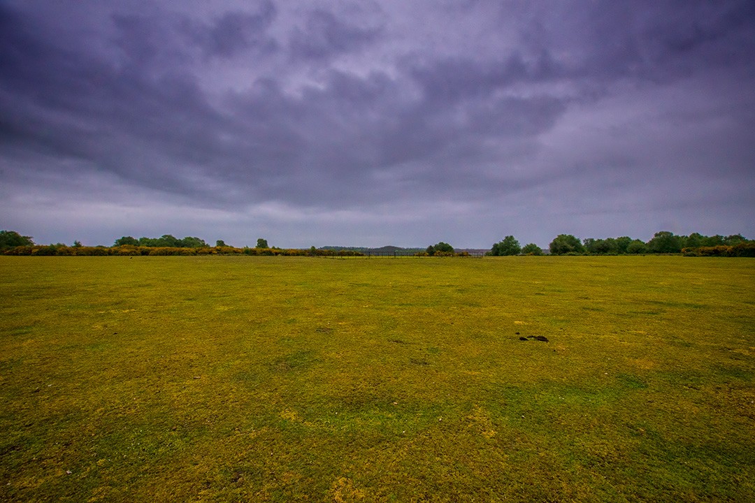 Best viewpoints in New Forest National Park | Atlas & Boots