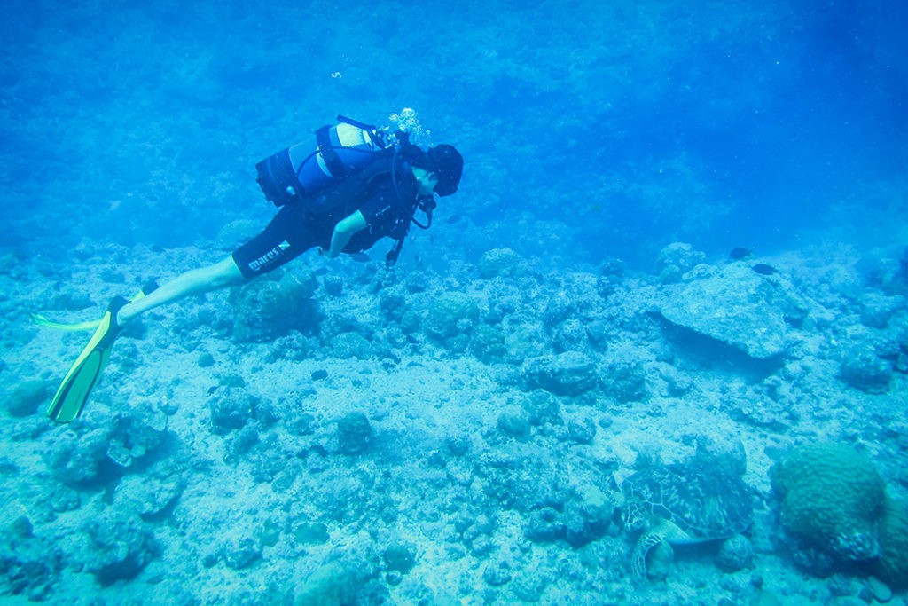 Kia  Diving at Trou aux Biches, Mauritius