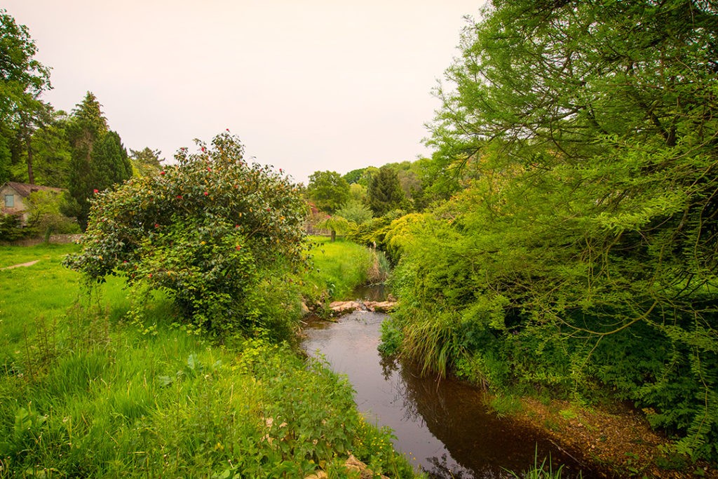 road cycle routes new forest
