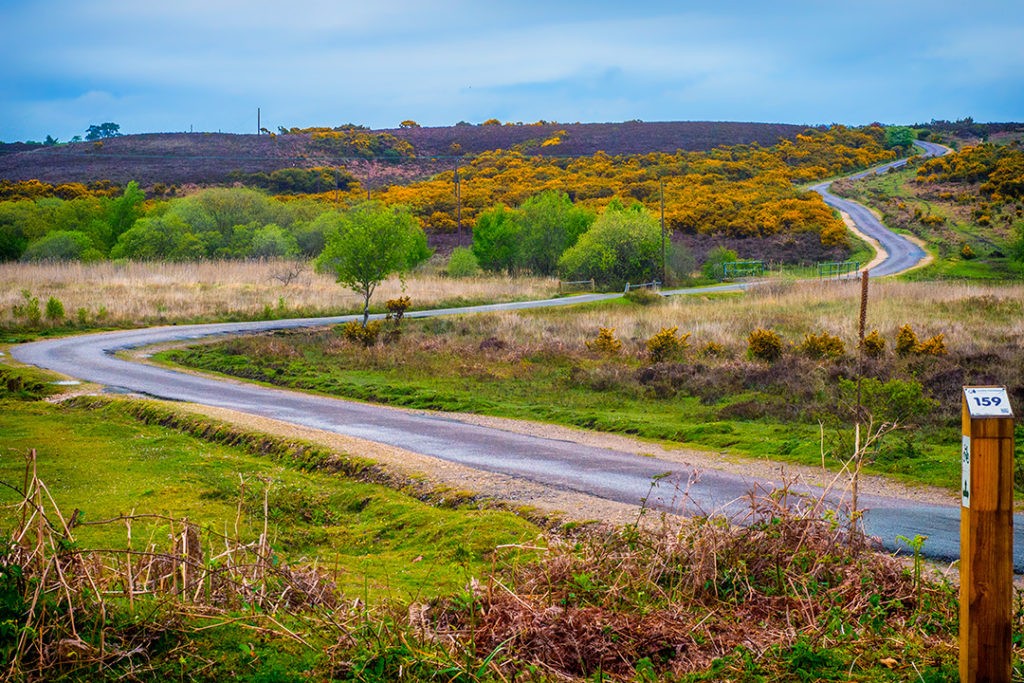 road cycle routes new forest
