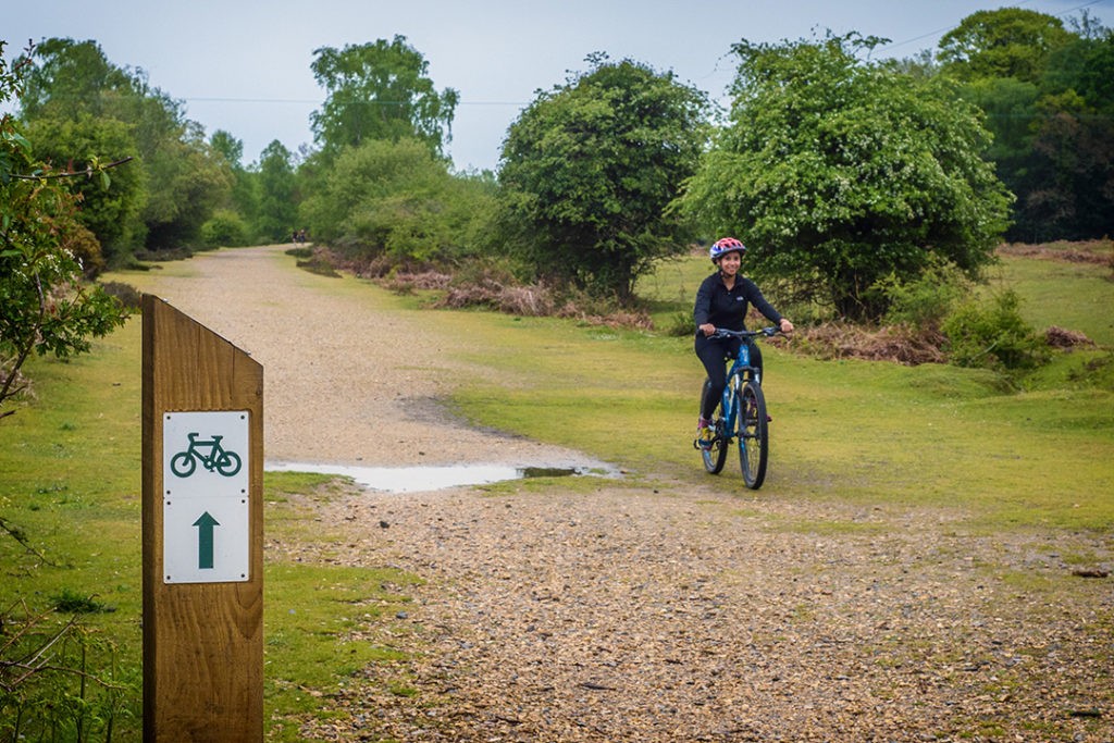5 of the best New Forest cycling routes Atlas & Boots