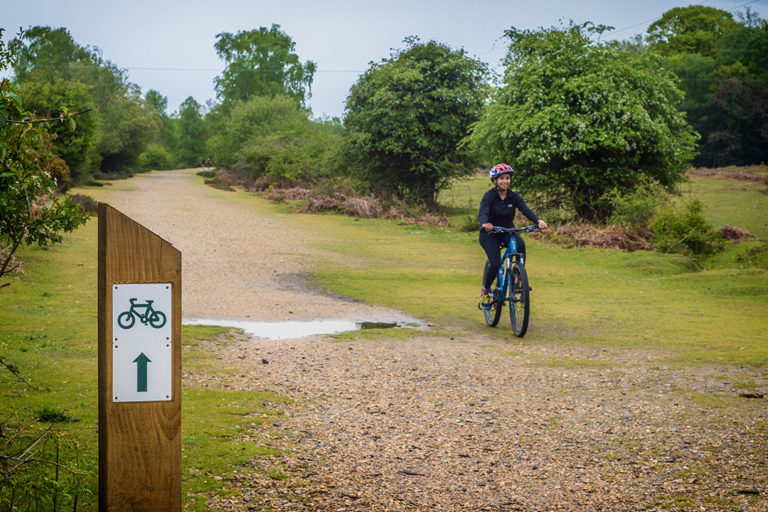 road cycle routes new forest