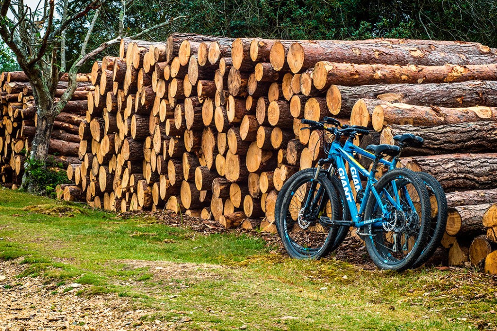 new forest mtb routes