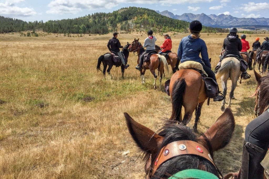 Your fellow riders can offer a host of horse riding tips